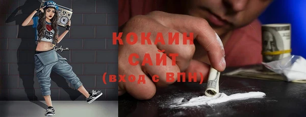 дмт Алексин