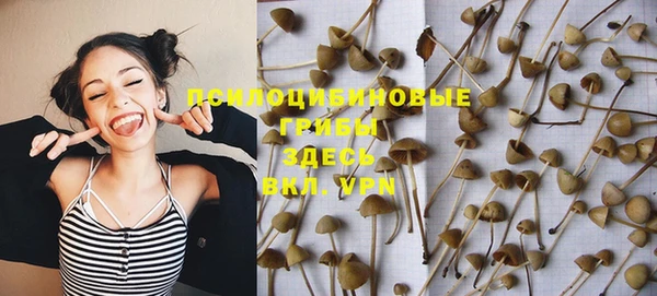 дмт Алексин