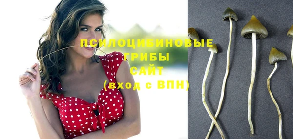дмт Алексин