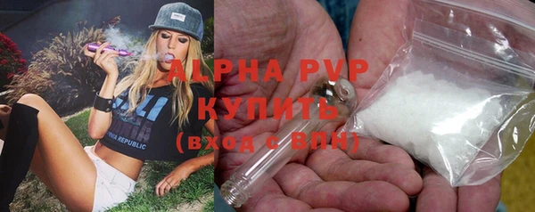 дмт Алексин