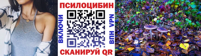 Псилоцибиновые грибы GOLDEN TEACHER  как найти   Рыбное 